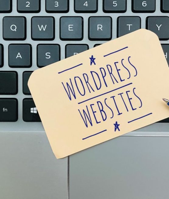 wordpress-website-designing-development-services